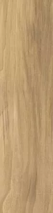 Купить 010400000878 Nut (Нут) beige PG 01 керамогранит 12,5х50, Gracia Ceramica