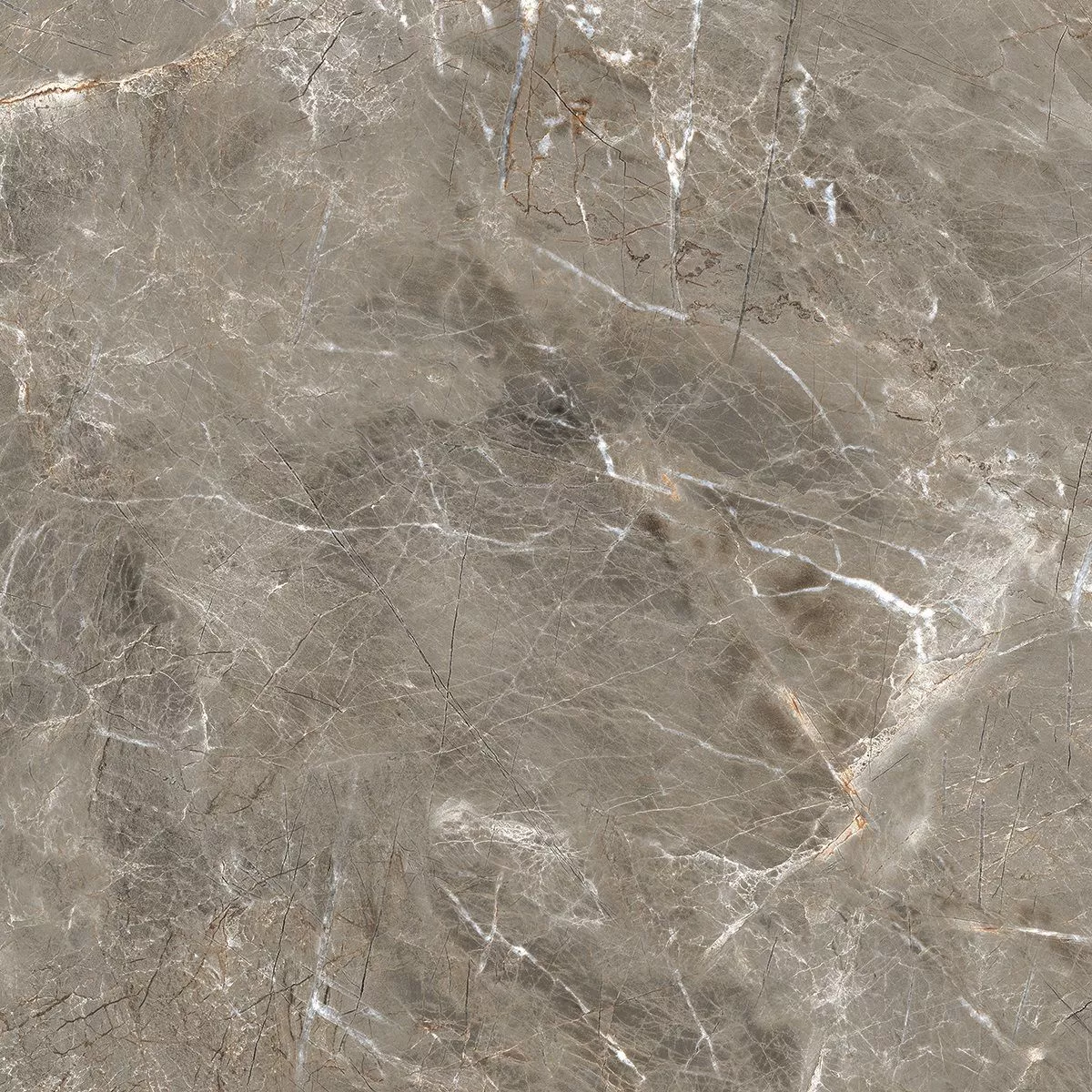Купить Керамогранит Royce Olympia Grey Matt 60x60 см (R_NR1011)