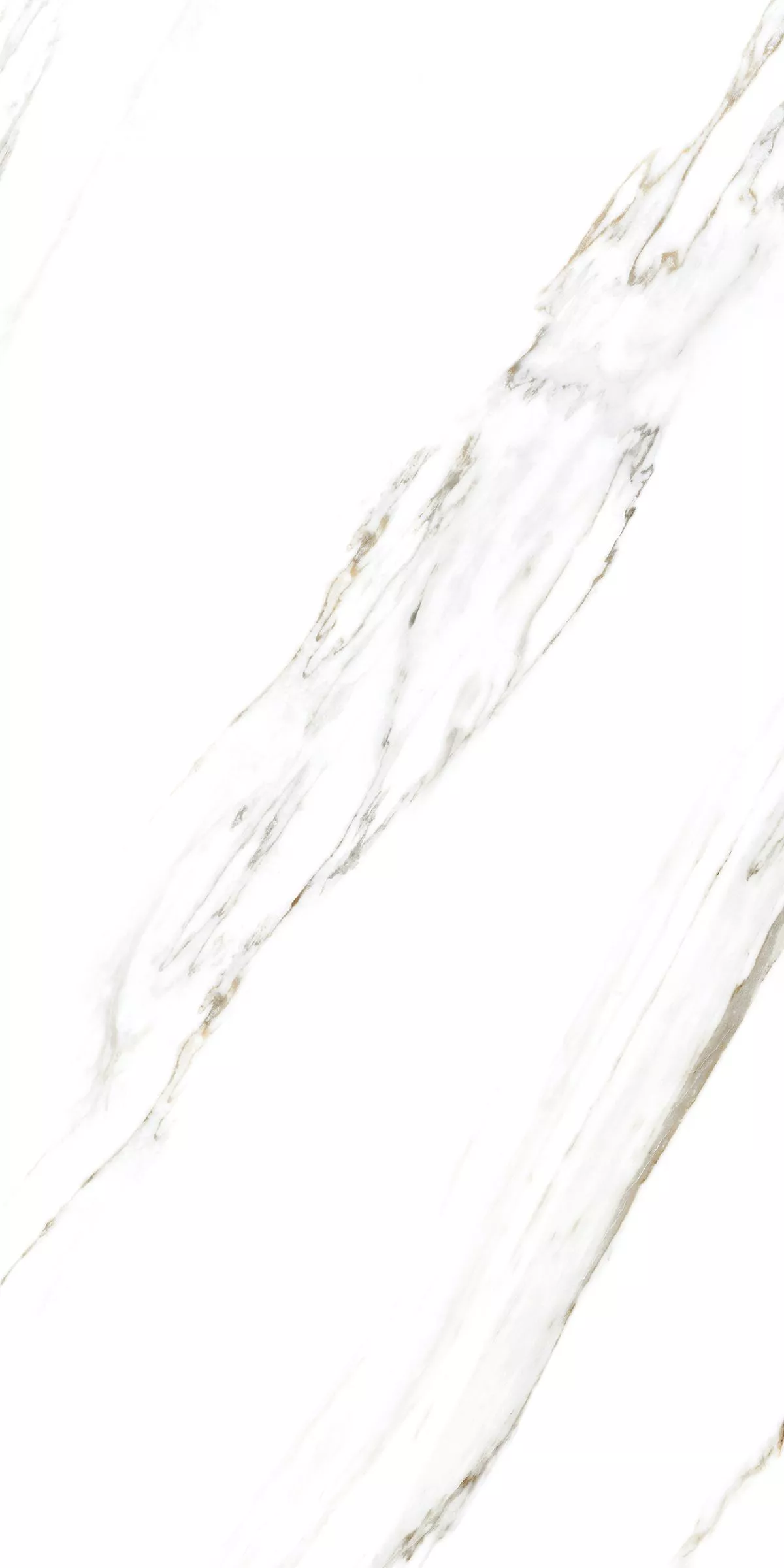 Купить Керамогранит ARTCER Marble Calacatta Caldia 9 mm POLI 60x120