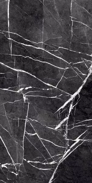 Купить Керамогранит Primavera Fedele Negro 60x120 см (GR203)