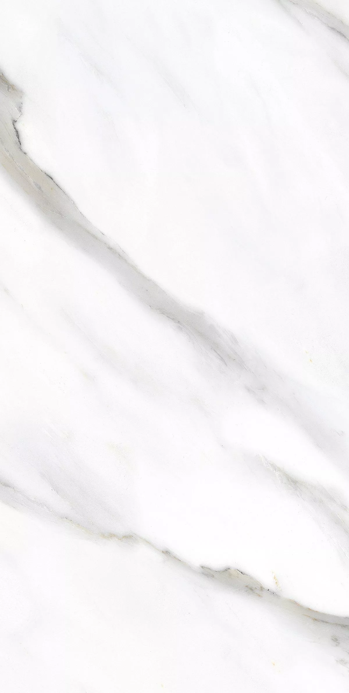 Купить Керамогранит Primavera Pirgos White Polished 60х120 см (PR233)
